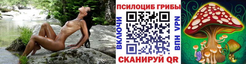 Псилоцибиновые грибы MAGIC MUSHROOMS  Ахтубинск 